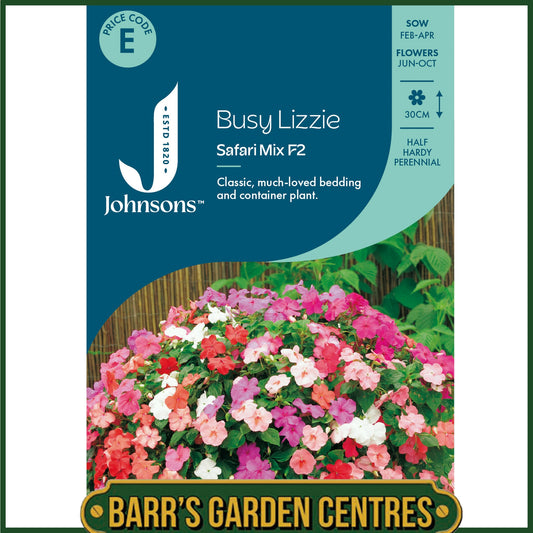 Johnsons - Busy Lizzie Safari Mix F2 - 50 Seeds