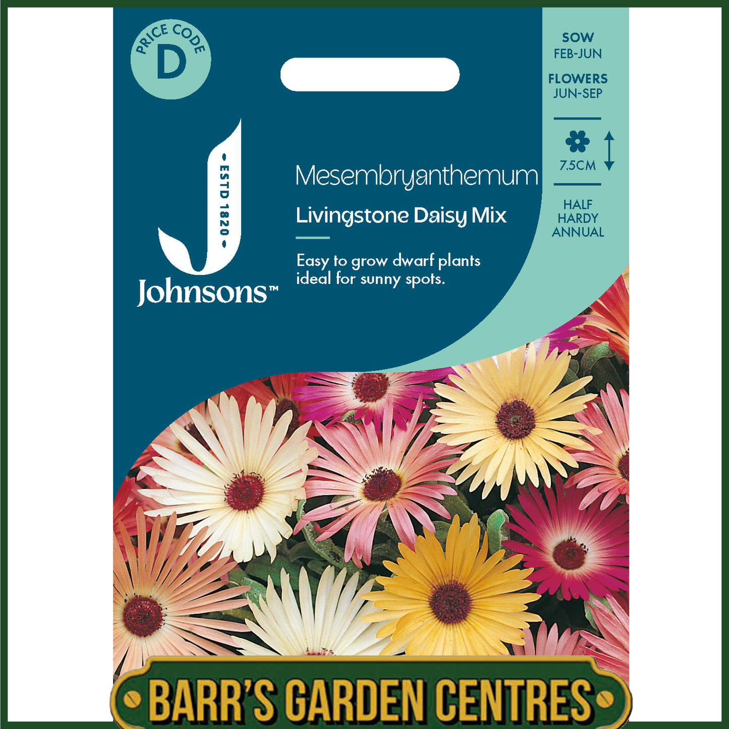Johnsons - Mesembryanthemum Livingstone Daisy Mix - 2000 Seeds