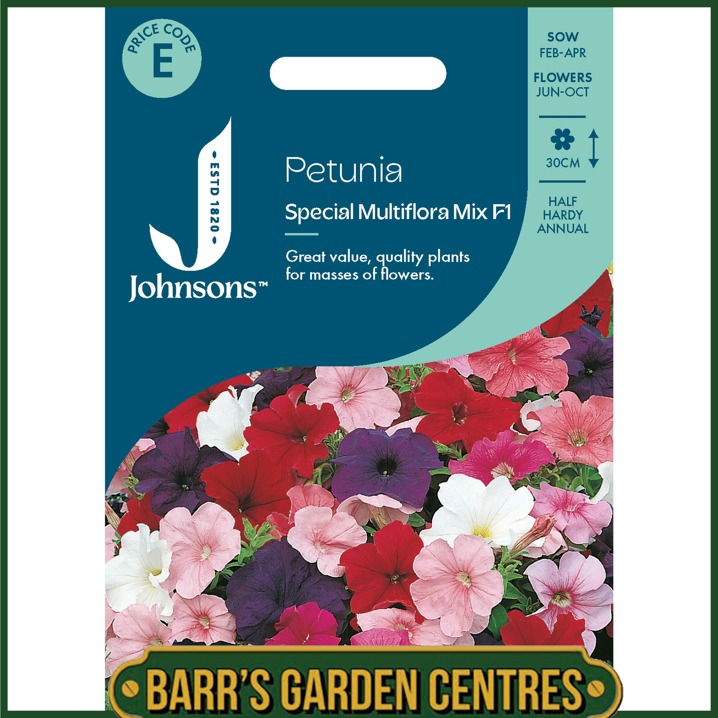 Johnsons - Petunia Special Multiflora Mix F1 - 120 Seeds
