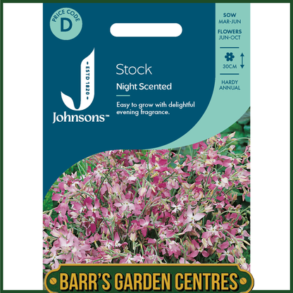 Johnsons - Stock Night Scented - 2000 Seeds