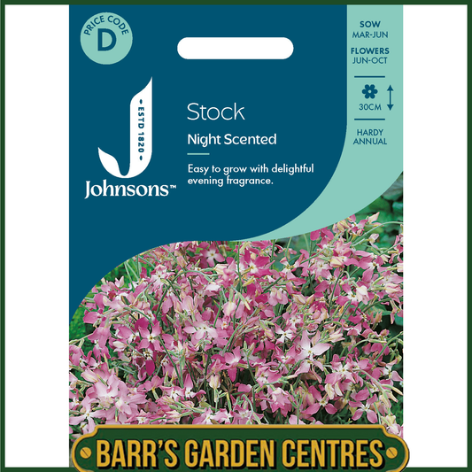 Johnsons - Stock Night Scented - 2000 Seeds