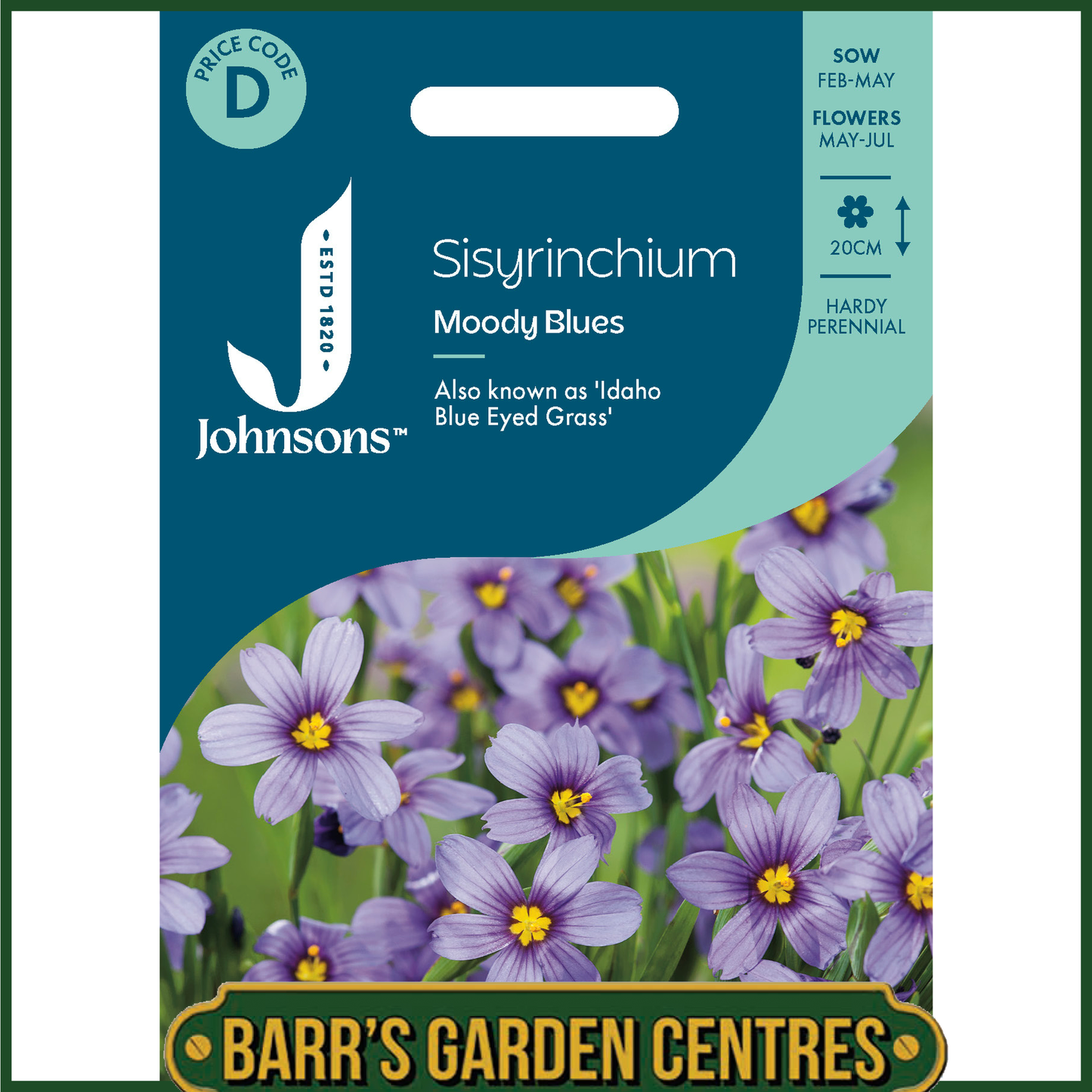 Johnsons - Sisyrinchium Moody Blues - 20 Seeds