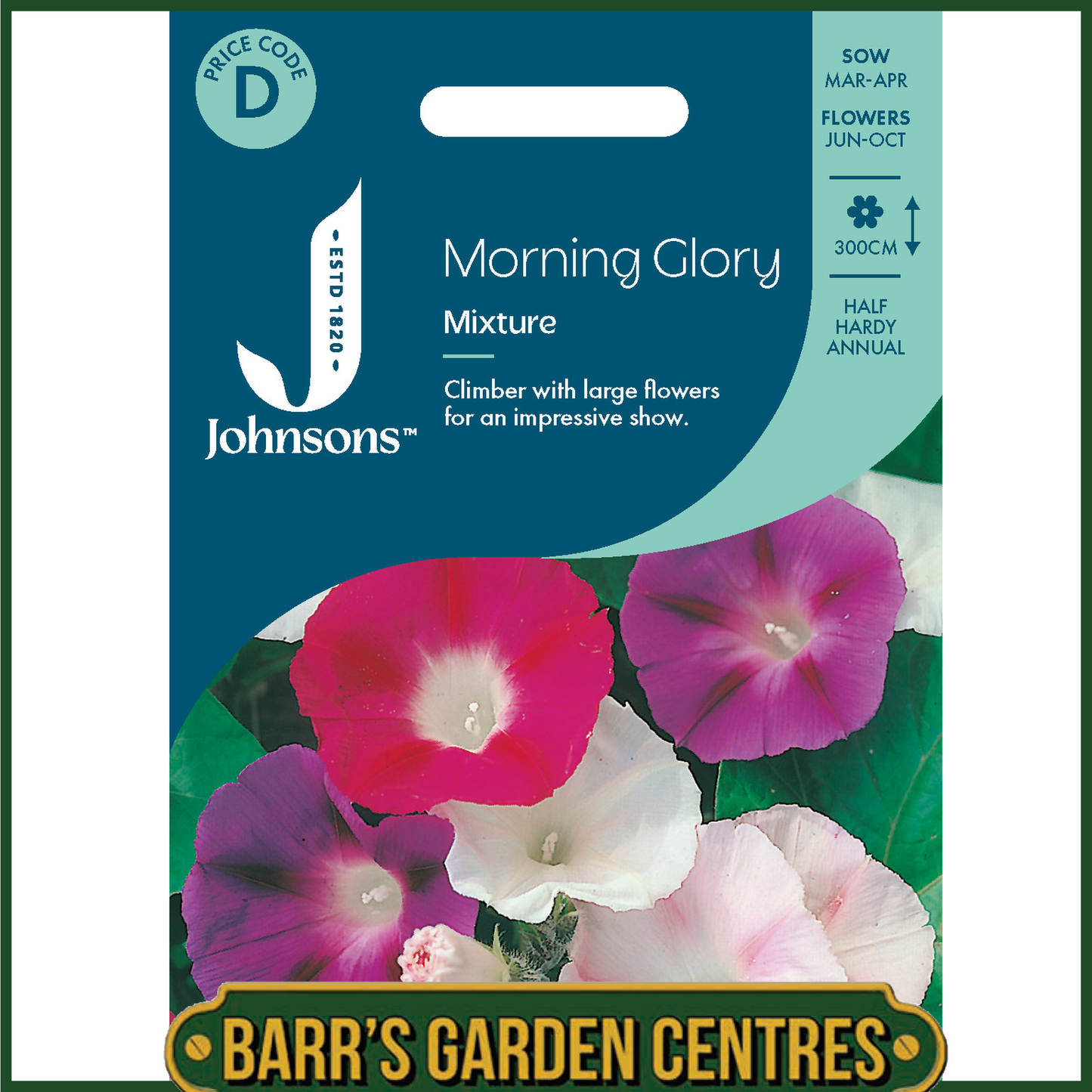 Johnsons - Morning Glory Mixture - 50 Seeds