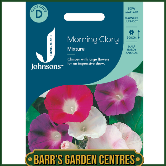Johnsons - Morning Glory Mixture - 50 Seeds