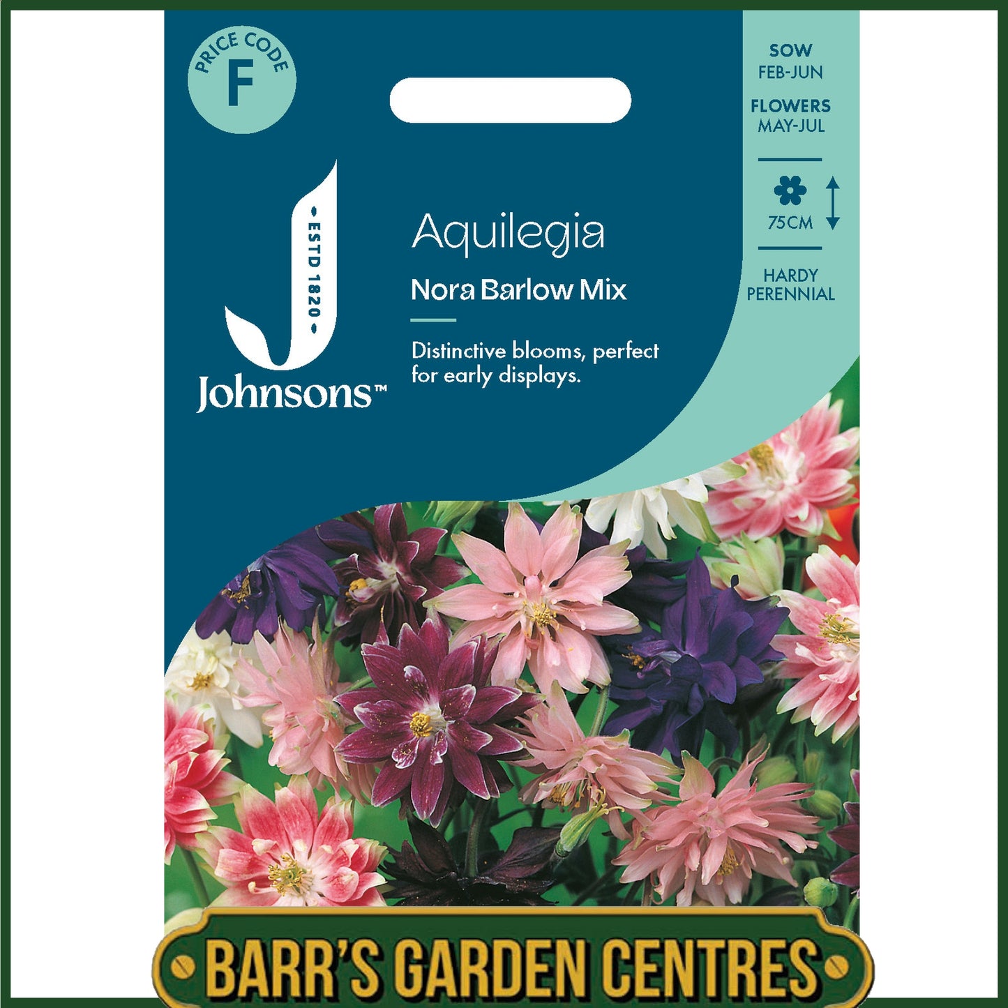 Johnsons - Aquilegia Nora Barlow Mix - 75 Seeds