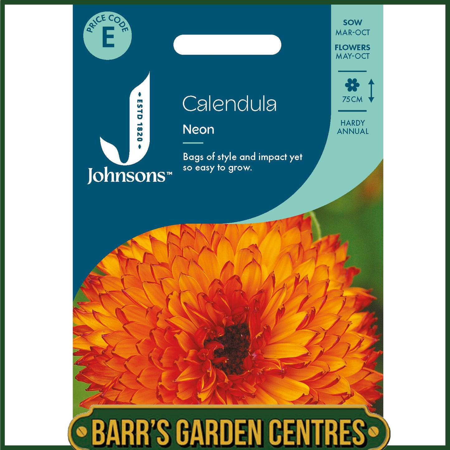 Johnsons - Calendula Neon - 100 Seeds