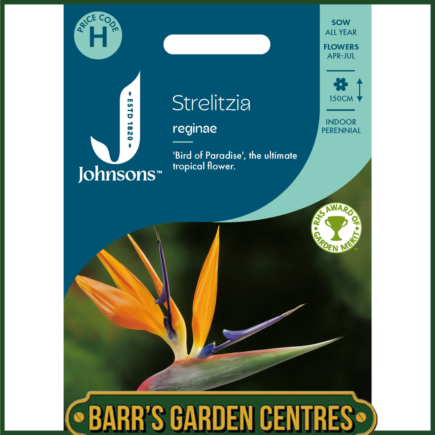 Johnsons - Strelitzia Reginae - 10 Seeds