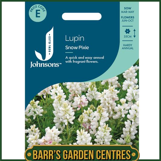 Johnsons - Lupin Snow Pixie - 30 Seeds