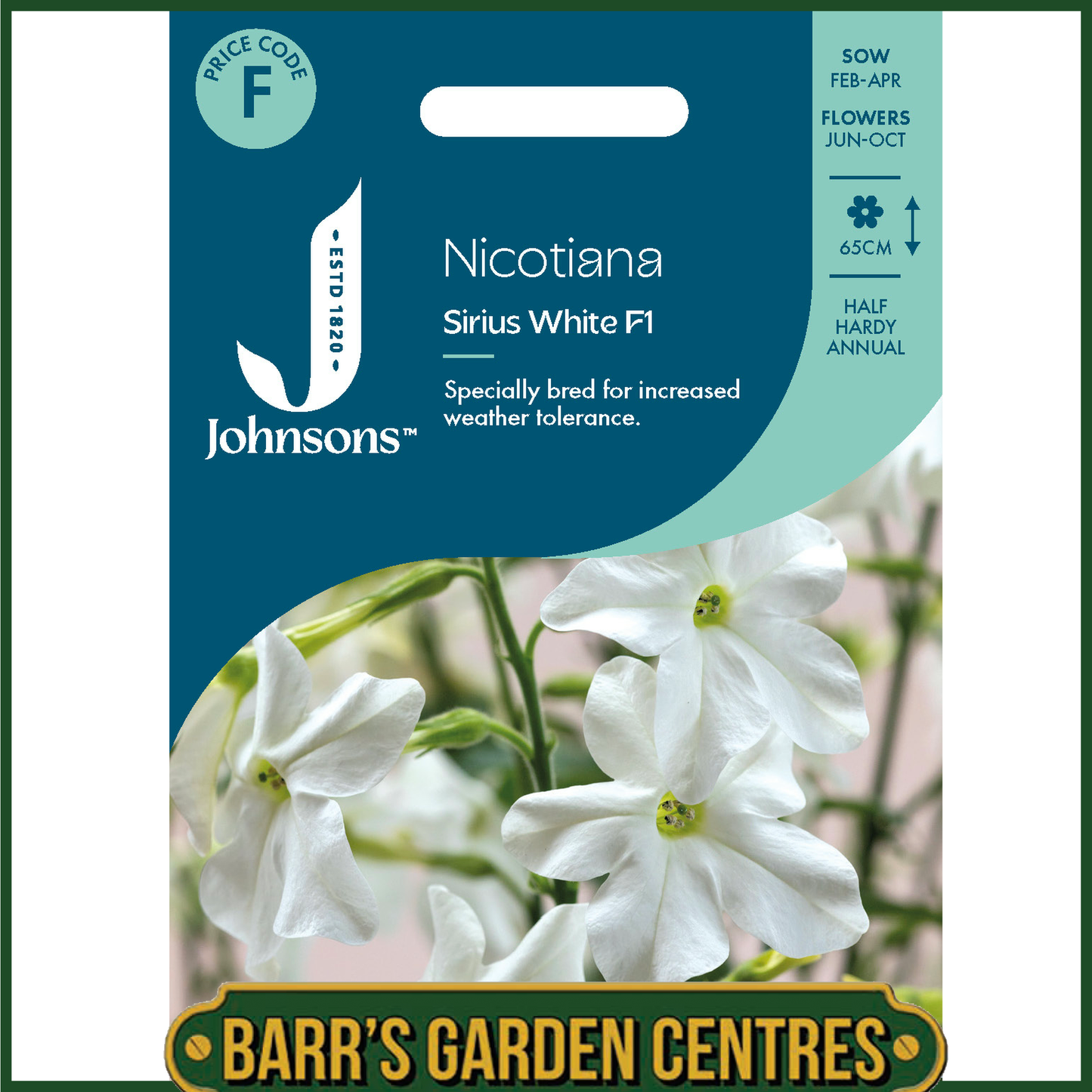 Johnsons - Nicotiana Sirius White F1 - 50 Seeds