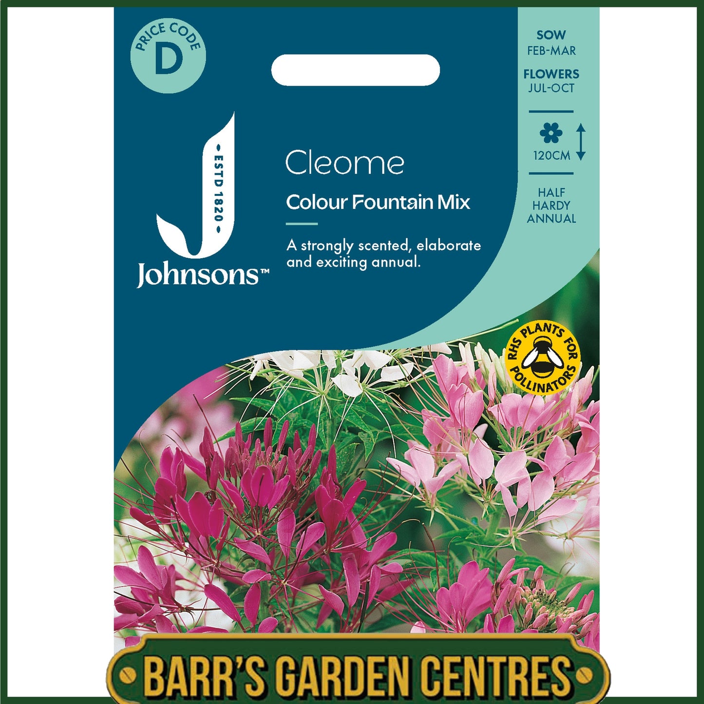 Johnsons - Cleome Colour Fountain Mix - 250 Seeds
