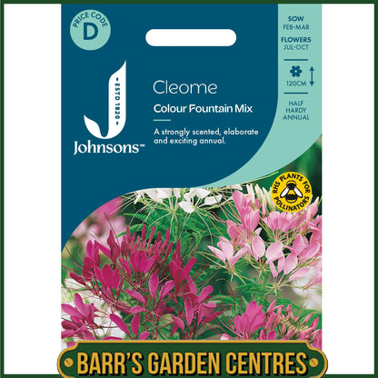 Johnsons - Cleome Colour Fountain Mix - 250 Seeds
