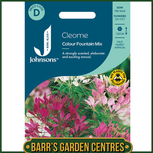 Johnsons - Cleome Colour Fountain Mix - 250 Seeds