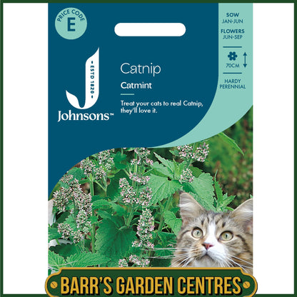 Johnsons - Catnip - Catmint - 250 Seeds