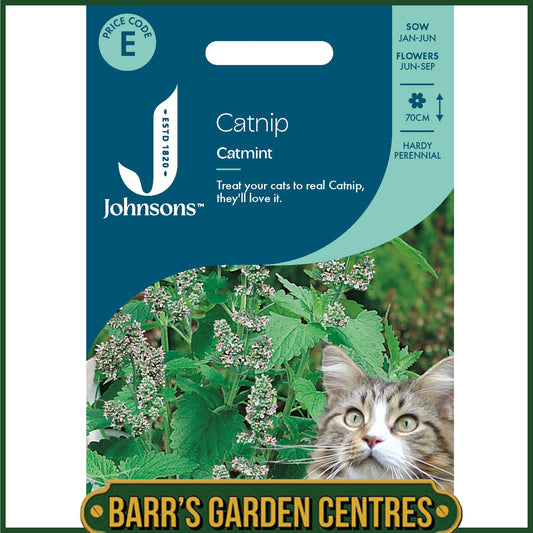 Johnsons - Catnip - Catmint - 250 Seeds