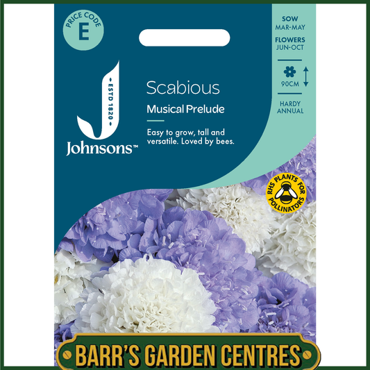 Johnsons - Scabious Musical Prelude - 75 Seeds