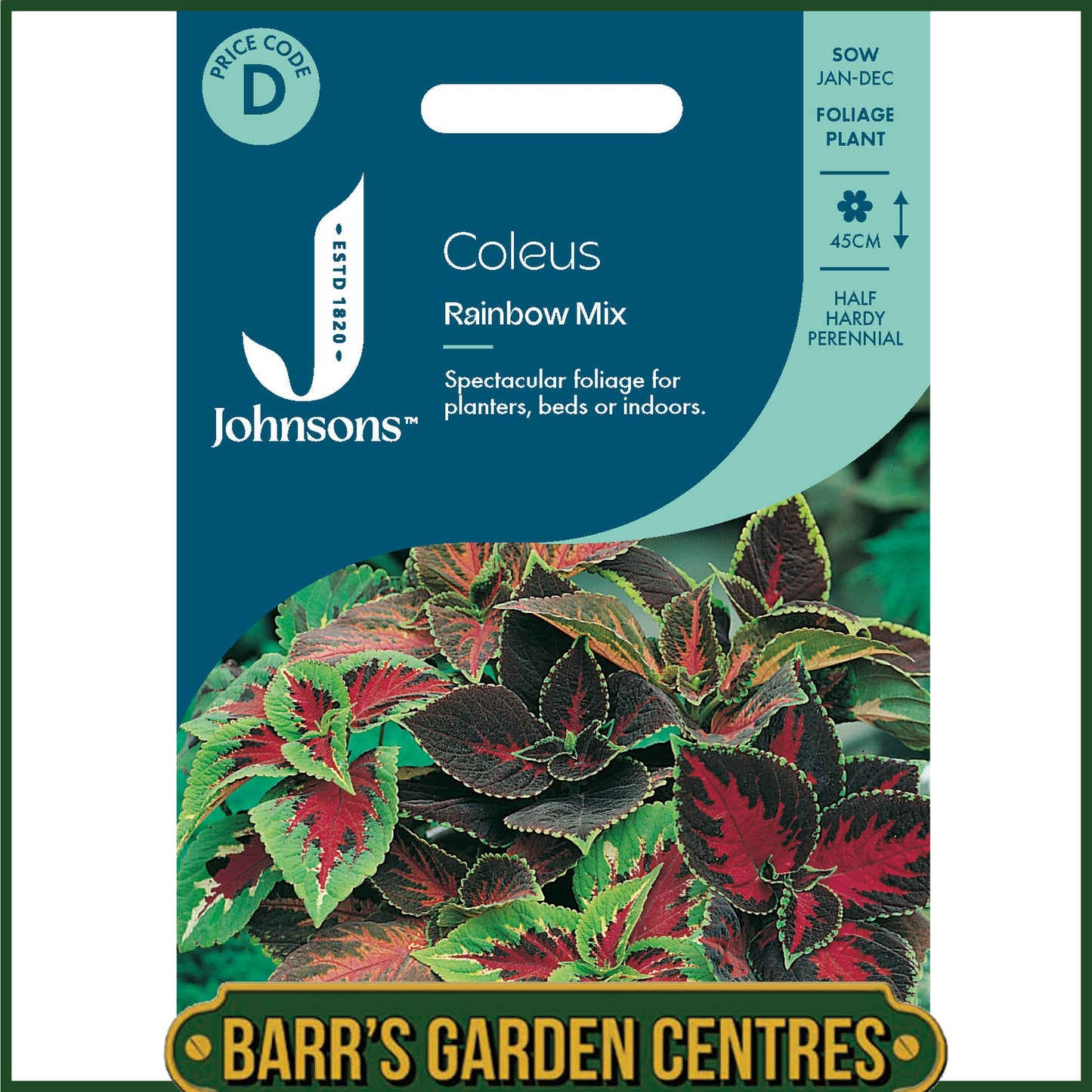 Johnsons - Coleus Rainbow Mix - 100 Seeds