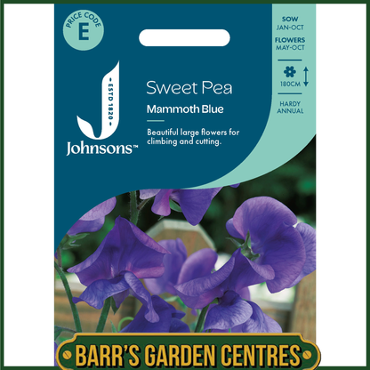 Johnsons - Sweet Pea Mammoth Blue - 25 Seeds