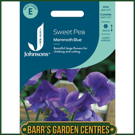 Johnsons - Sweet Pea Mammoth Blue - 25 Seeds