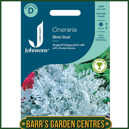 Johnsons - Cineraria Silver Dust - 200 Seeds