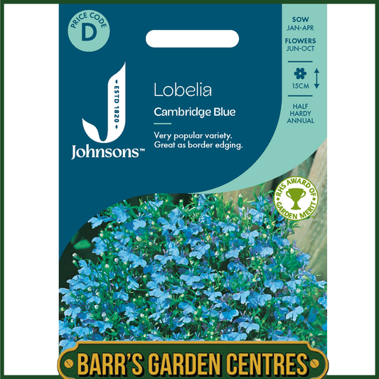 Johnsons - Lobelia Cambridge Blue - 2500 Seeds