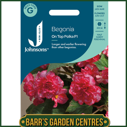 Johnsons - Begonia on Top Polka Dot F1 - 20 Seeds