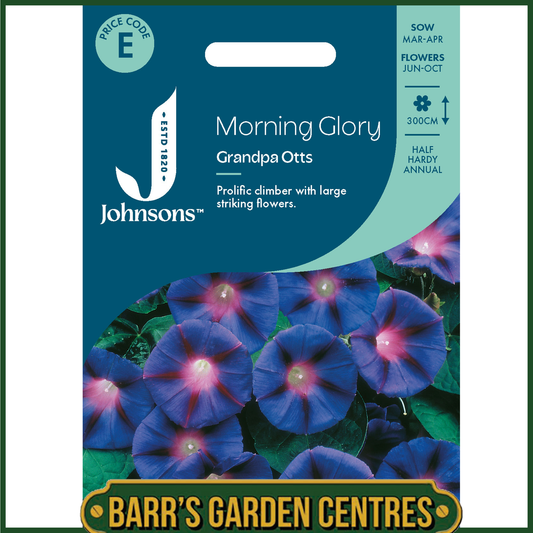 Johnsons - Morning Glory Grandpa Otts - 30 Seeds