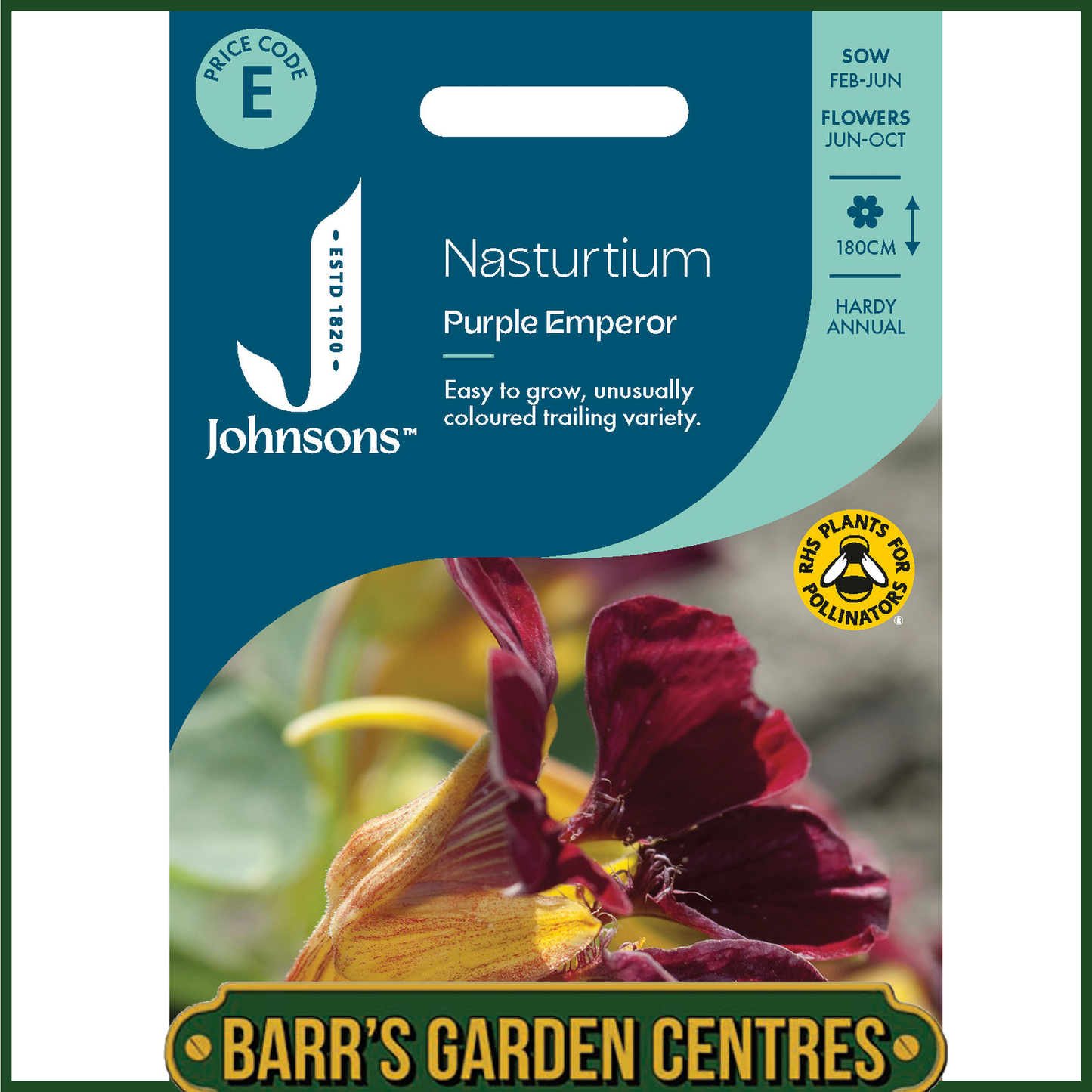 Johnsons - Nasturtium Purple Emperor - 25 Seeds