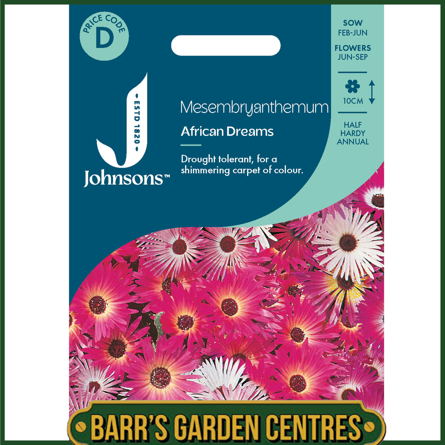 Johnsons - Mesembryanthemum African Dream - 300 Seeds