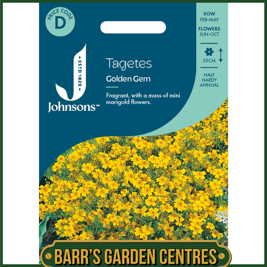 Johnsons - Tagetes Golden Gem - 220 Seeds