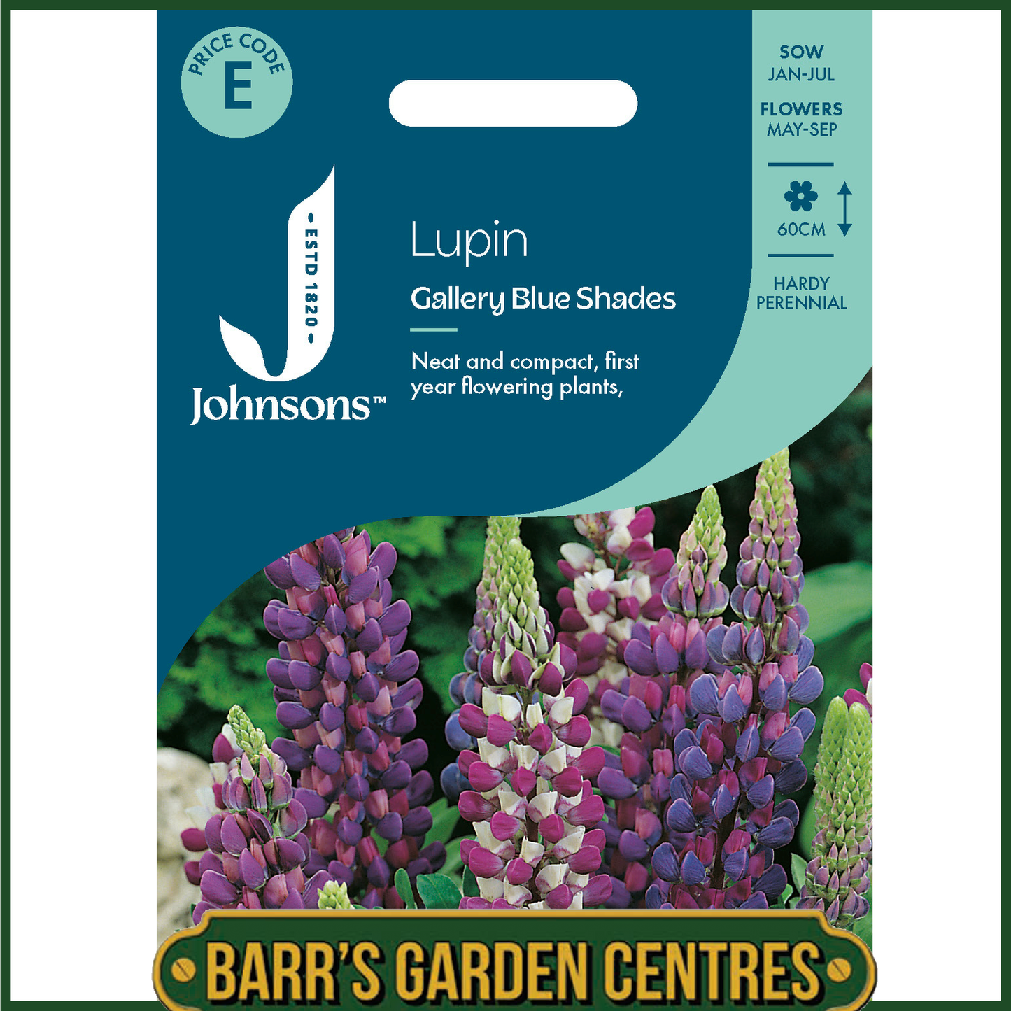Johnsons - Lupin Gallery Blue Shades - 20 Seeds