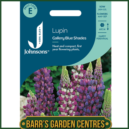 Johnsons - Lupin Gallery Blue Shades - 20 Seeds