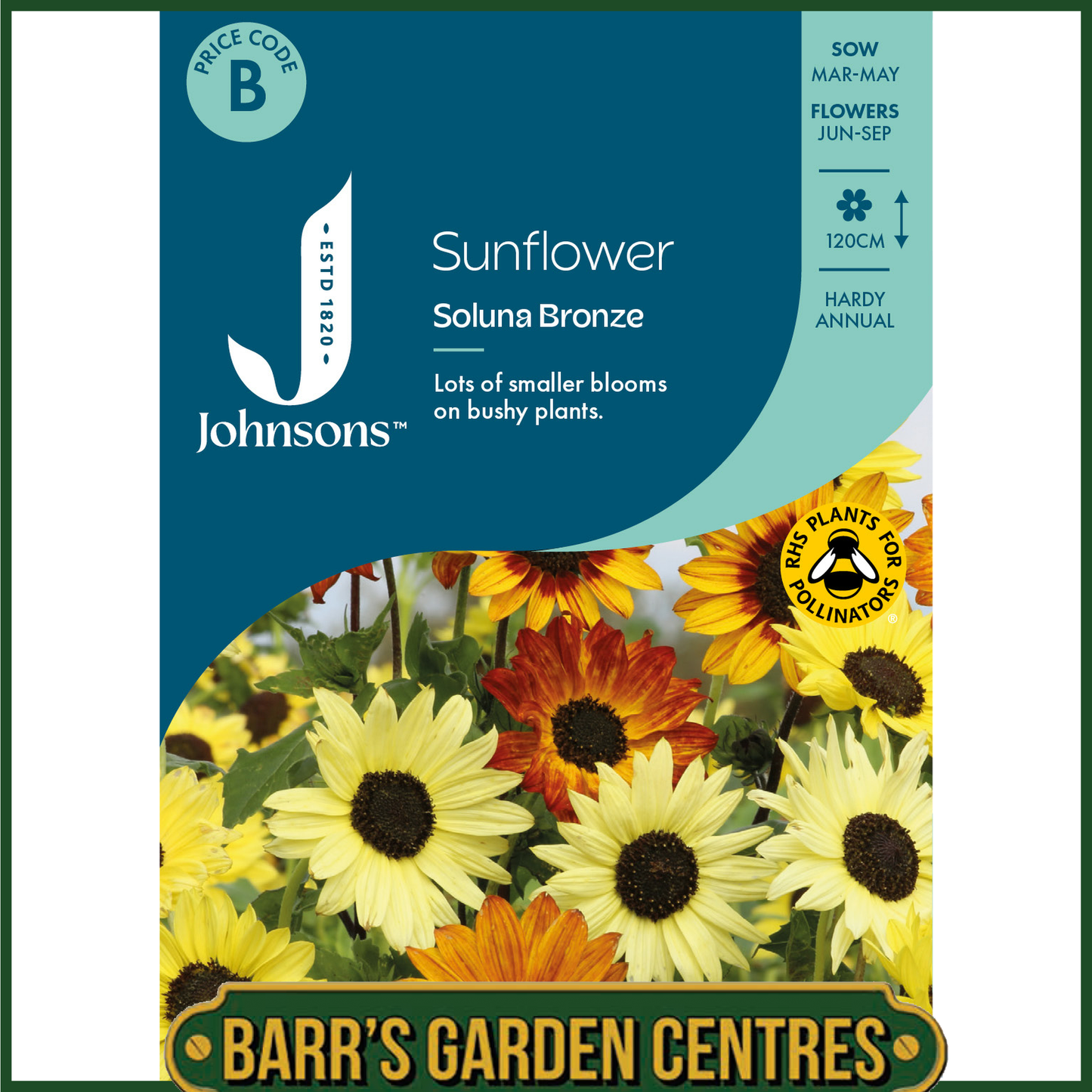 Johnsons - Sunflower Soluna Bronze - 20 Seeds