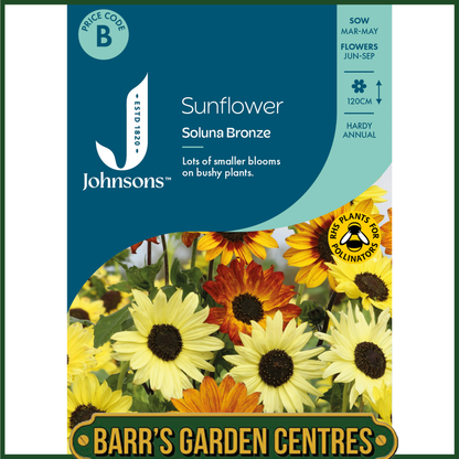 Johnsons - Sunflower Soluna Bronze - 20 Seeds