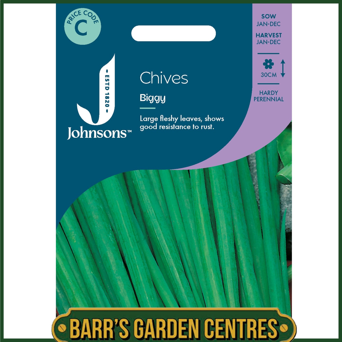 Johnsons - Herb - Chives Biggy - 750 Seeds