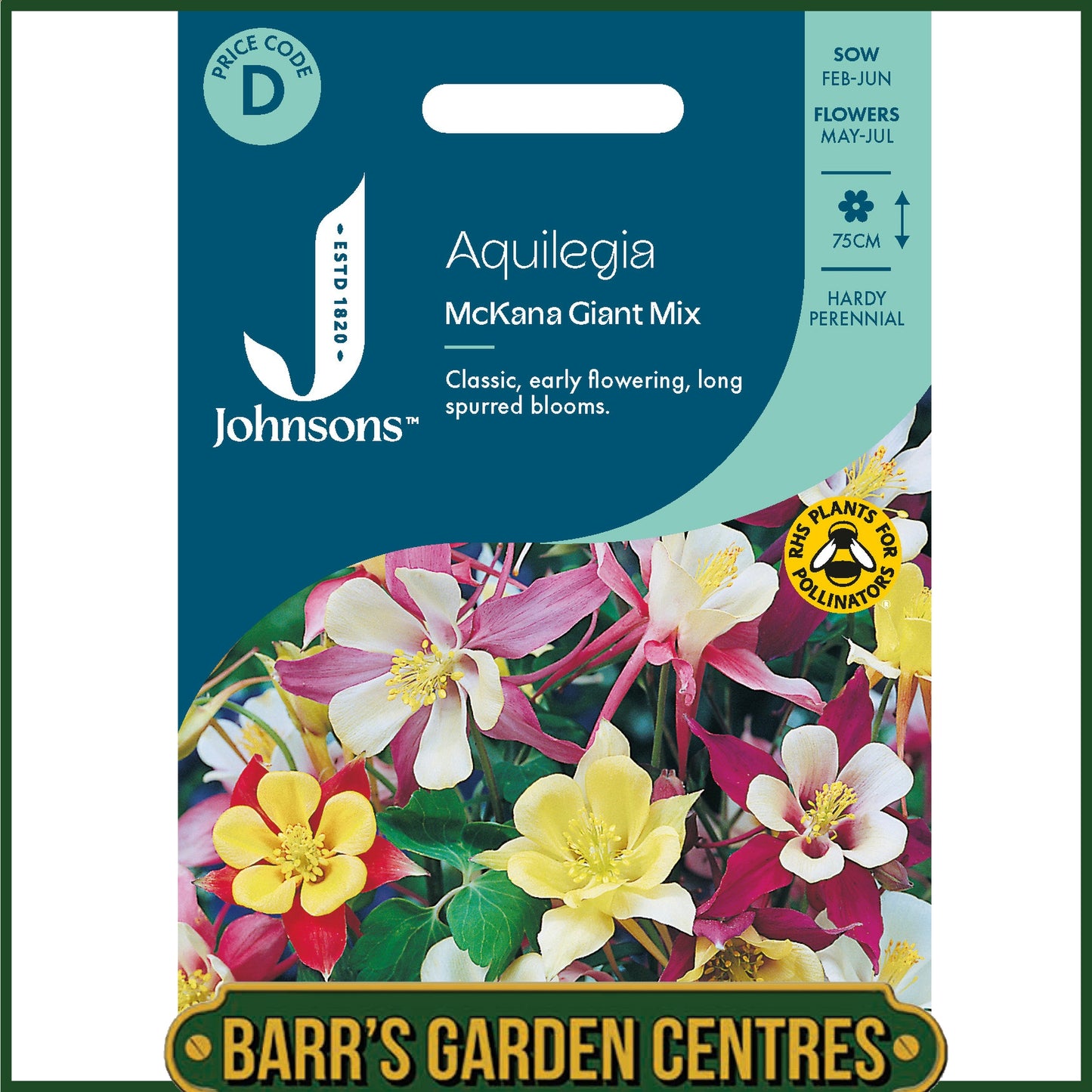 Johnsons - Aquilegia Mckana Giant Mix - 150 Seeds