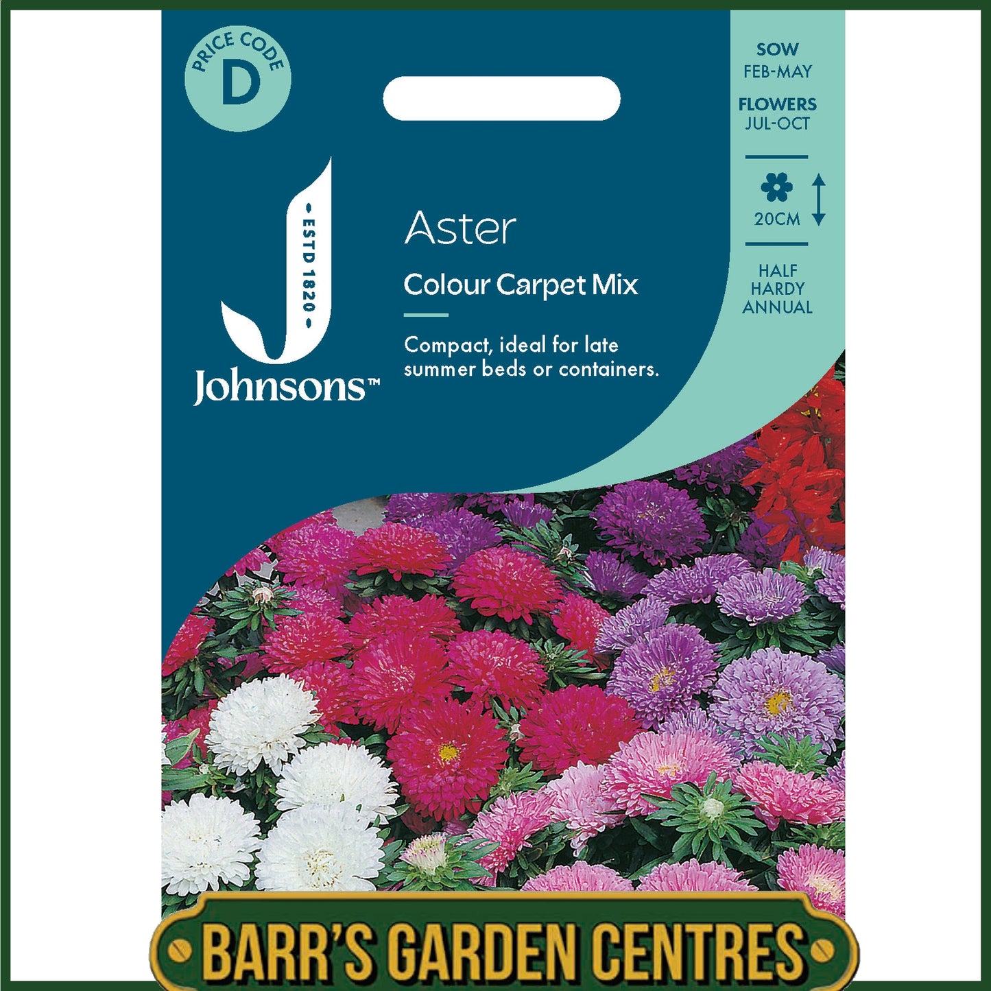 Johnsons - Aster Colour Carpet Mix - 250 Seeds
