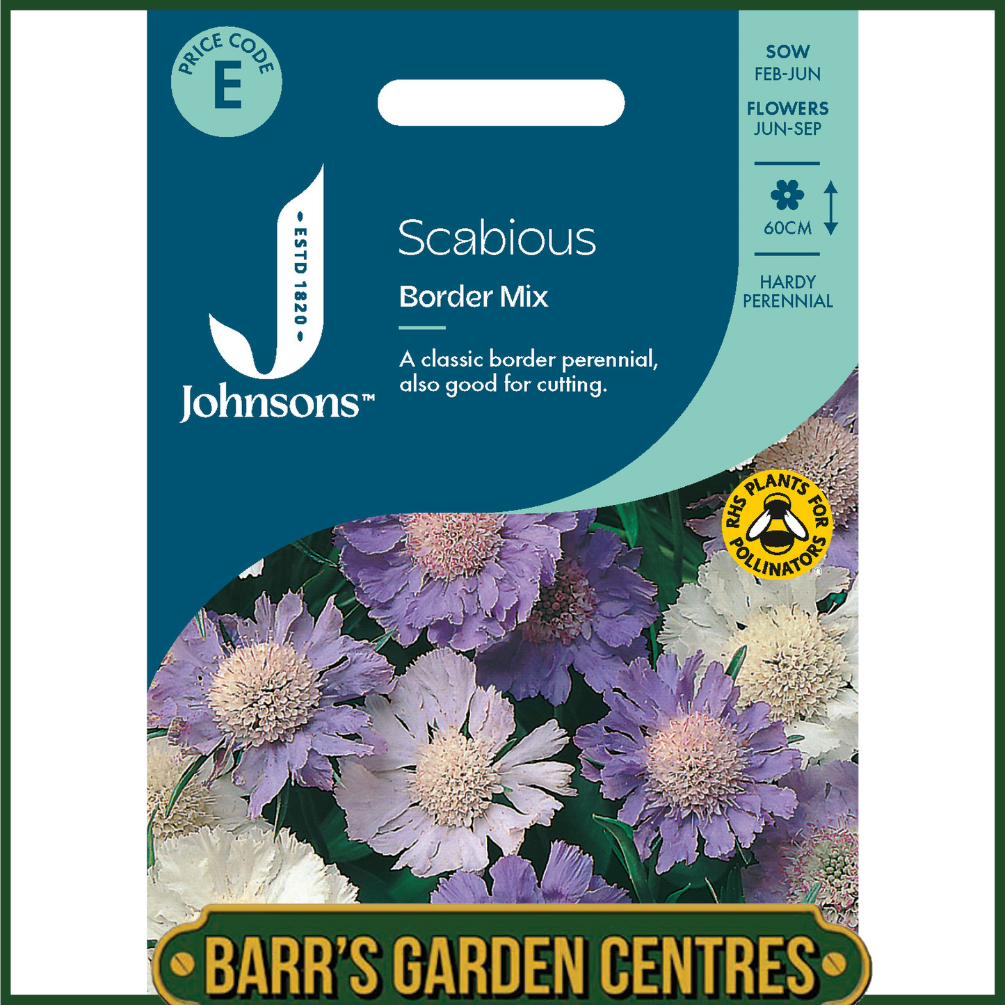 Johnsons - Scabious Border Mix - 50 Seeds