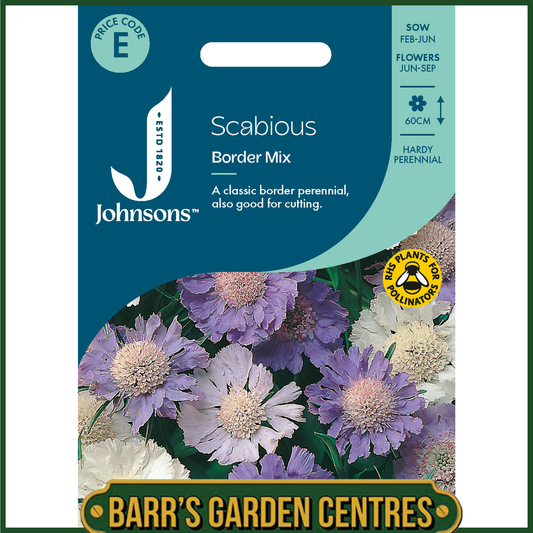 Johnsons - Scabious Border Mix - 50 Seeds