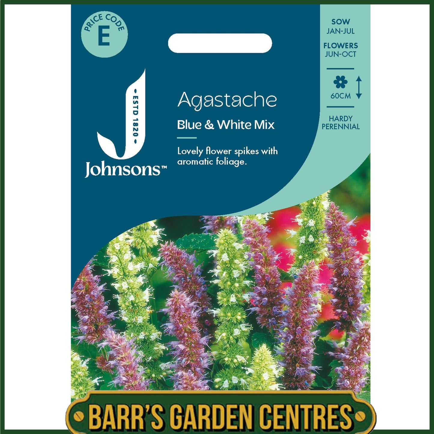 Johnsons - Agastache Blue & White Mix - 200 Seeds
