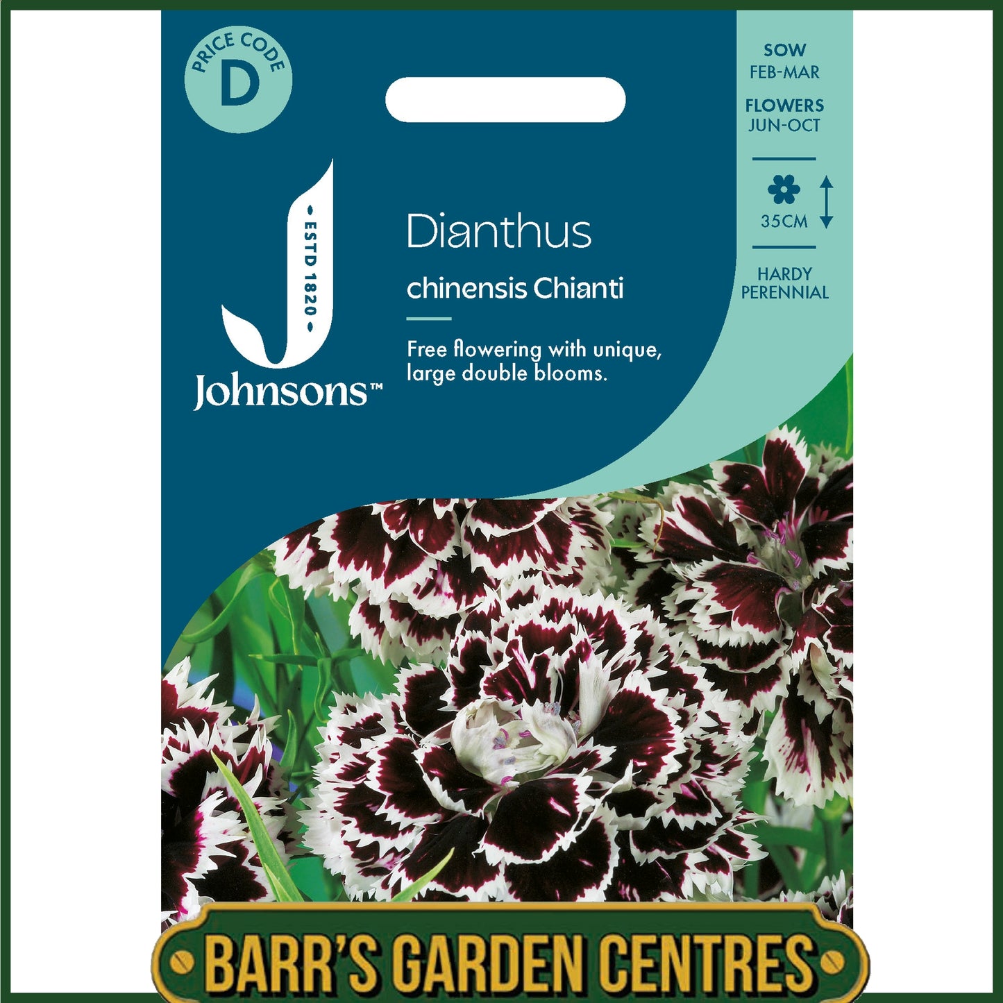 Johnsons - Dianthus Chinensis Chianti - 200 Seeds