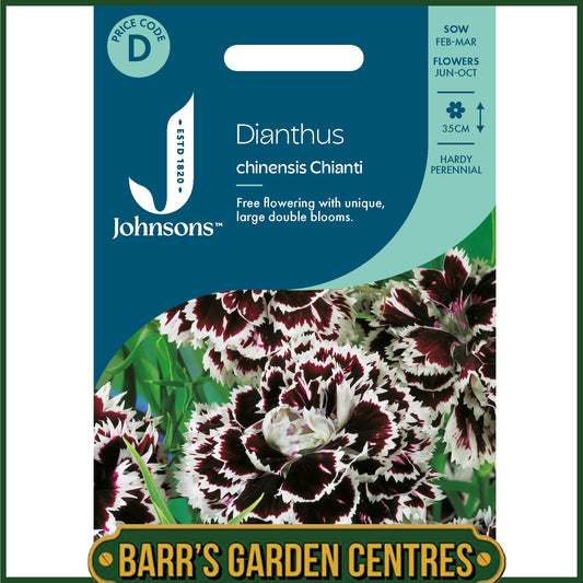 Johnsons - Dianthus Chinensis Chianti - 200 Seeds