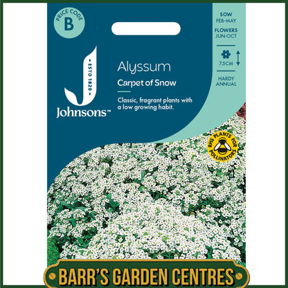Johnsons - Alyssum Carpet of Snow - 1250 Seeds