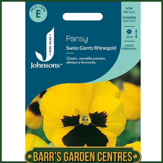 Johnsons - Pansy Swiss Giants Rhinegold - 100 Seeds