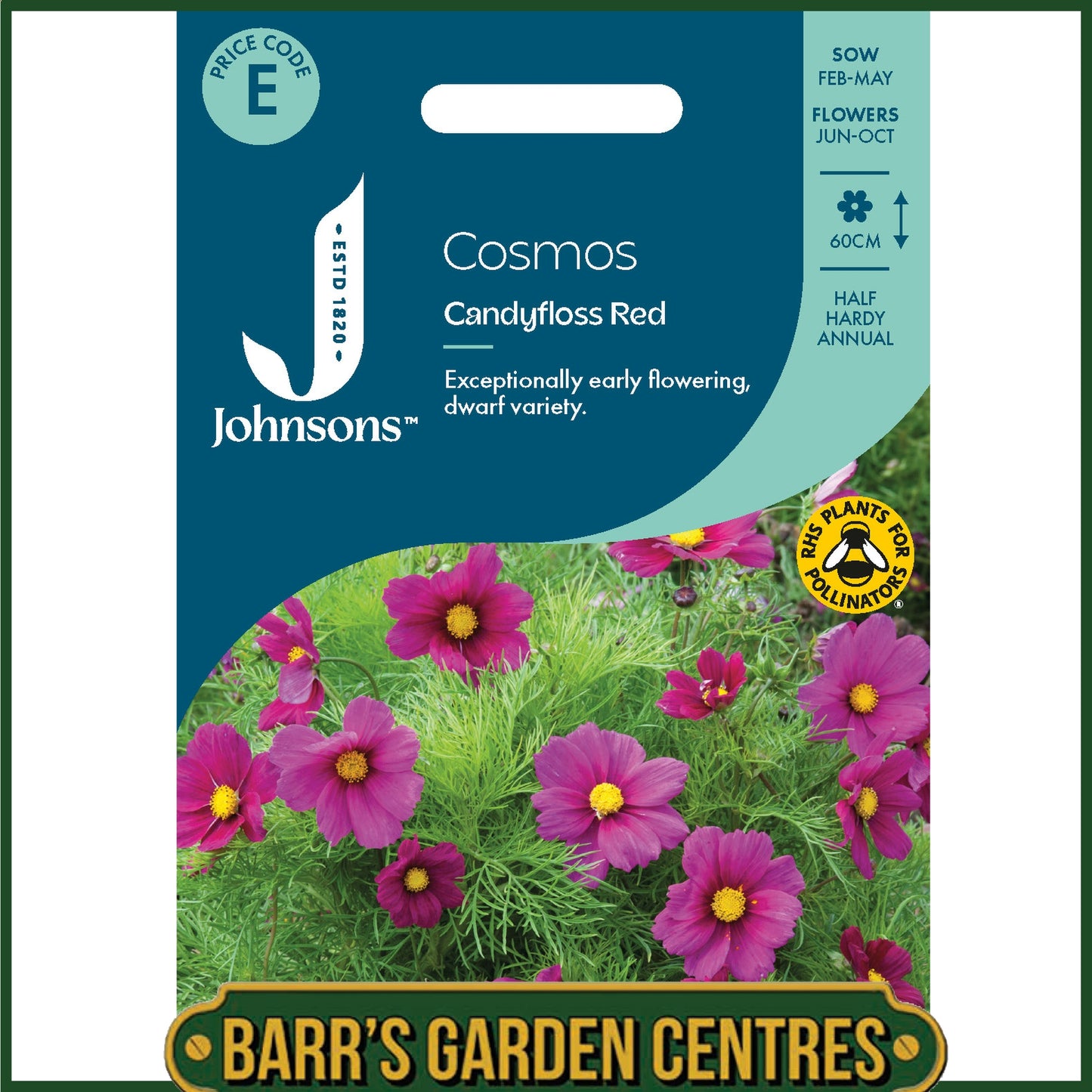 Johnsons - Cosmos Candyfloss Red - 60 Seeds