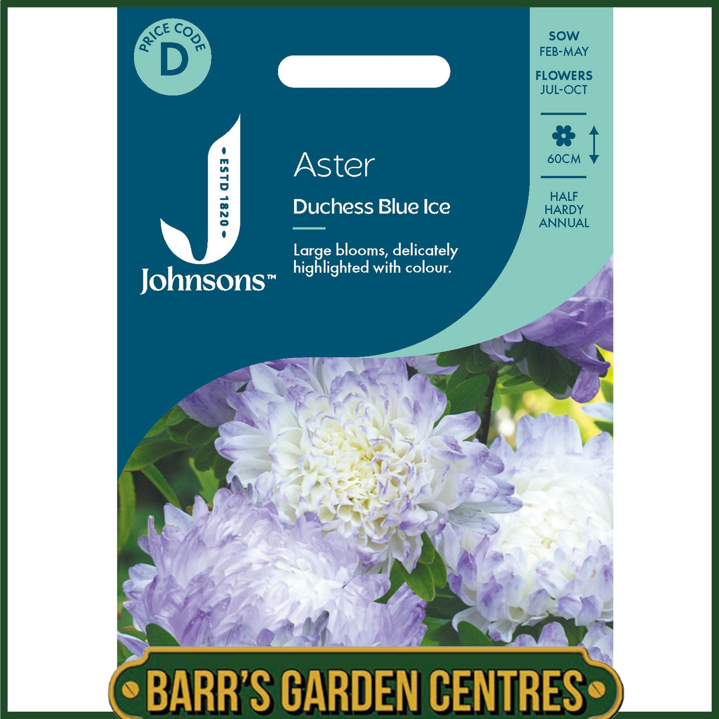 Johnsons - Aster Duchess Blue Ice - 250 Seeds