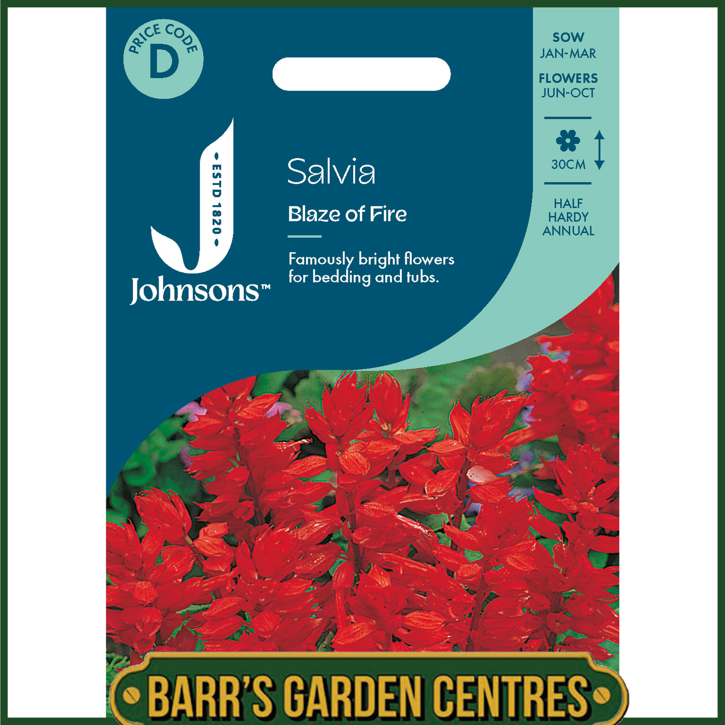 Johnsons - Salvia Blaze of Fire - 80 Seeds