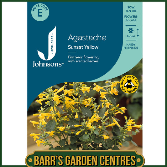 Johnsons - Agastache Sunset Yellow - 50 Seeds
