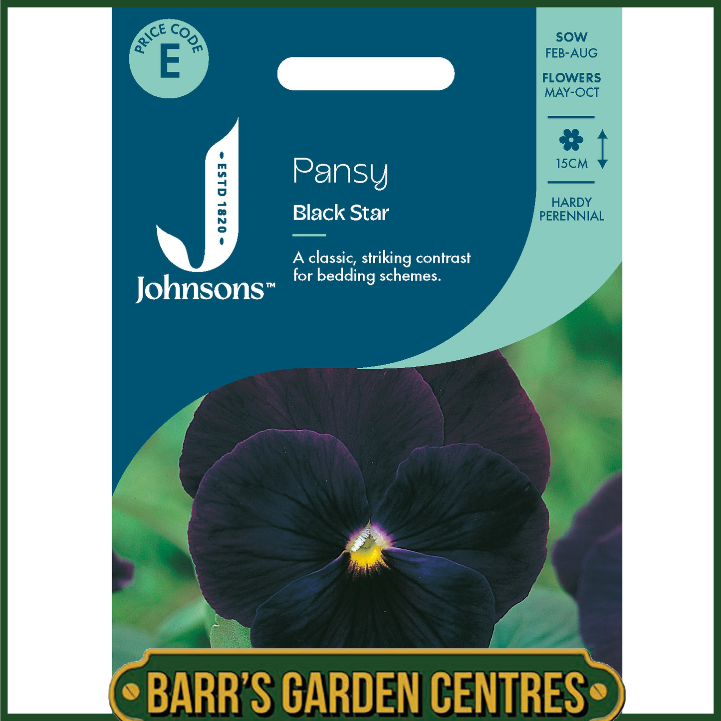 Johnsons - Pansy Black Star - 75 Seeds