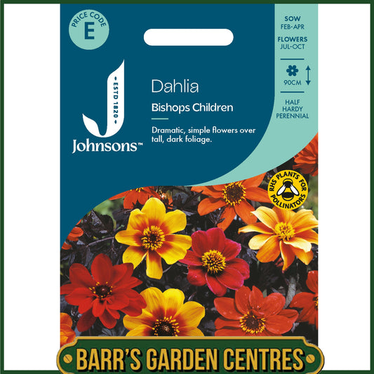 Johnsons - Dahlia Bishops Children - 40 Seeds