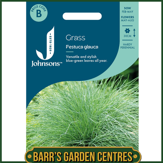 Johnsons - Grass Festuca Glauca - 100 Seeds
